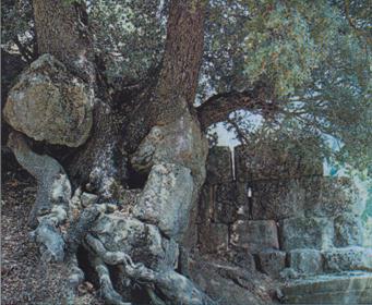 Ruins of the ancient Castle, 500 b.c