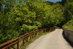The nature The nature
